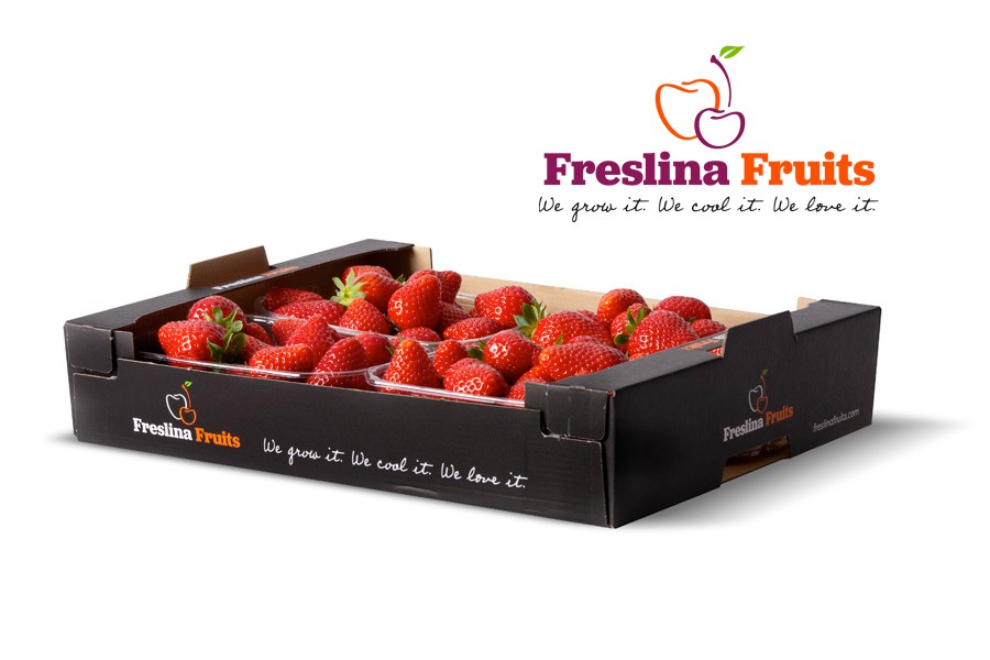 Freslina Fruits